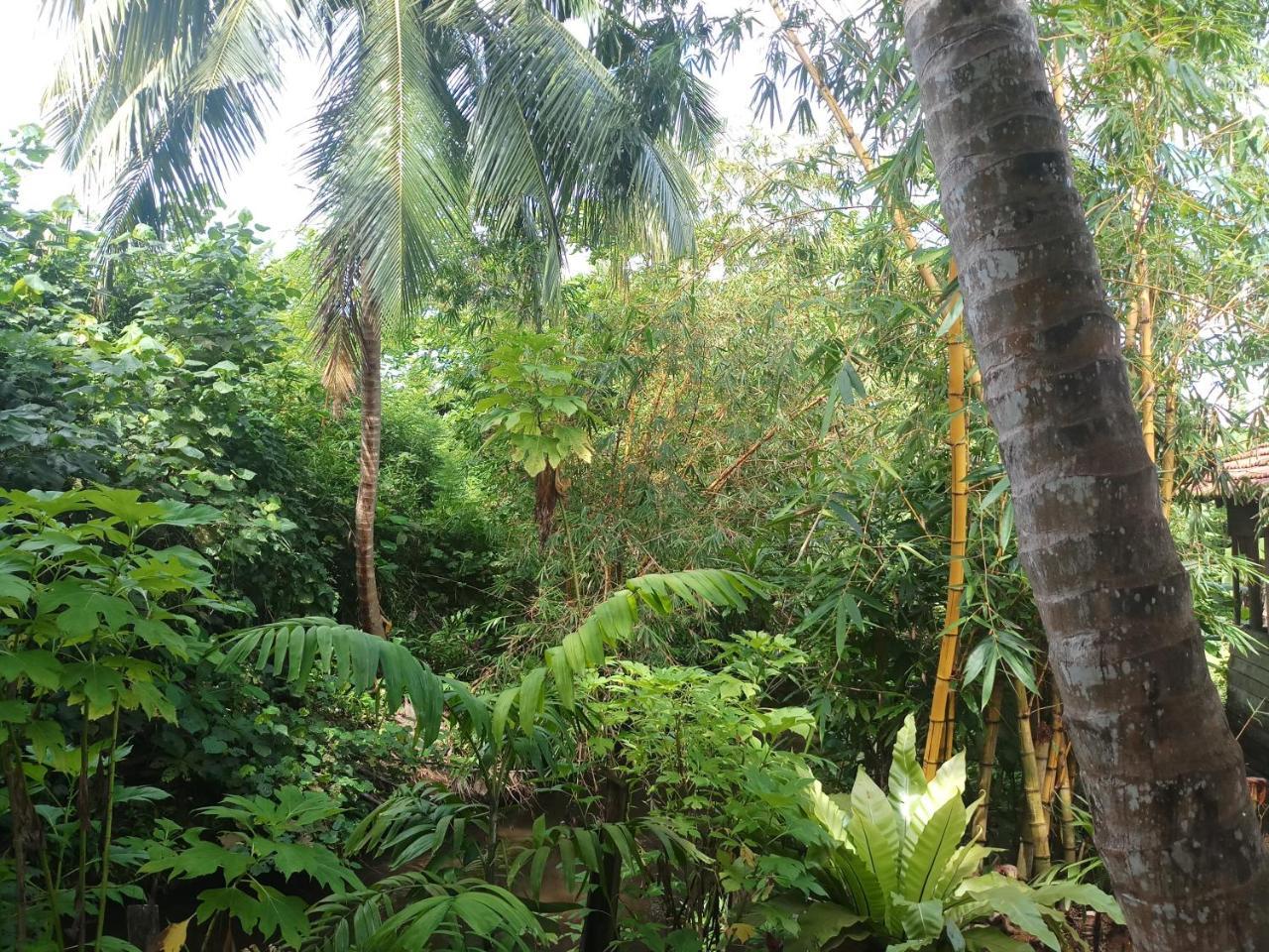 Lakvilla Хиккадува Экстерьер фото